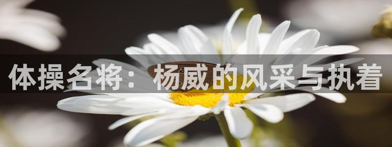 vsport体育官方正版app娱乐是那个系列的台子：
