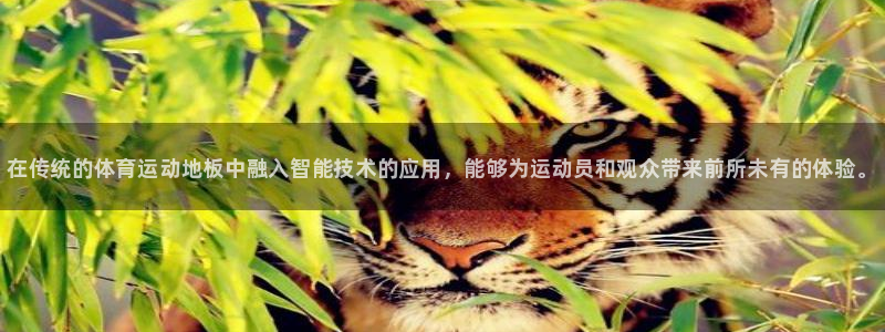 vsport体育官方正版app官网：在传统的体育运动