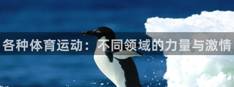 vsport体育官方正版app神州：各种体育运动：不