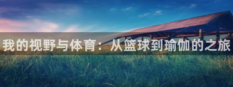 vsport体育官方正版app娱乐网站：我的视野与体育：从篮