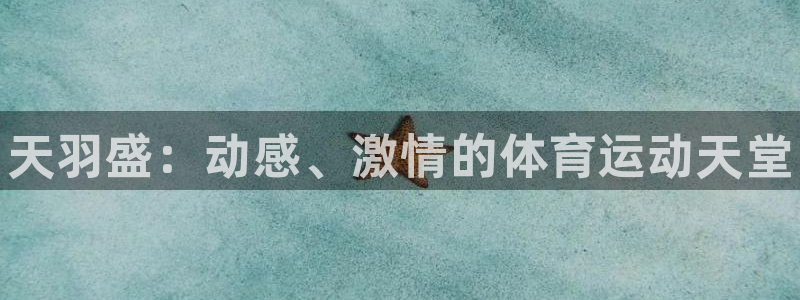 vsport体育官网下载招商：天羽盛：动感、激情的体