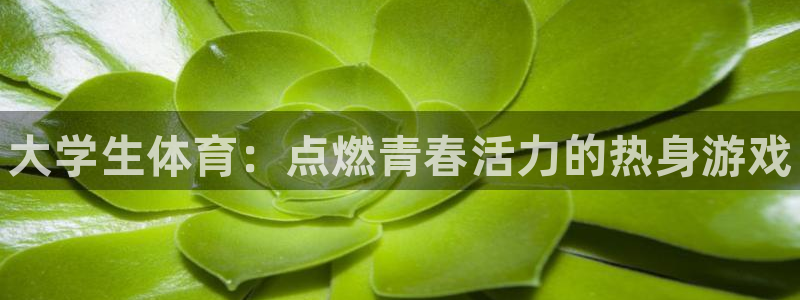 vsport体育官网下载平台注册：大学生体育：点燃青