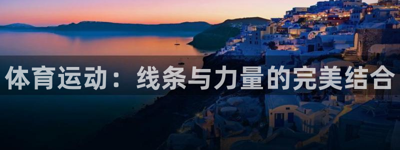 vsport体育官网下载平台注册：体育运动：线条与力
