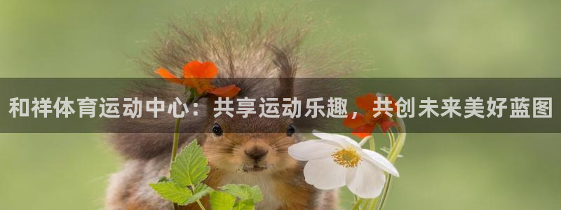 vsport体育官方正版app娱乐代理怎么样