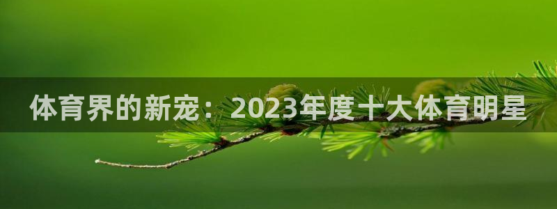 vsport体育官网下载平台是正规平台吗：体育界的新宠：20