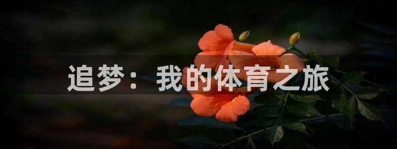 vsport体育官方正版app集团简介：追梦：我的体