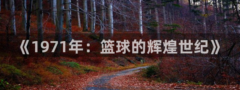德国vsport体育官方正版app集团：《1971年：篮球的