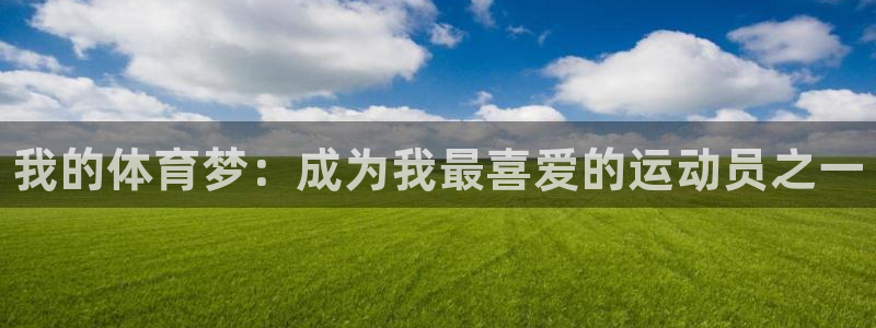 海南vsport体育官网下载：我的体育梦：成为我最喜