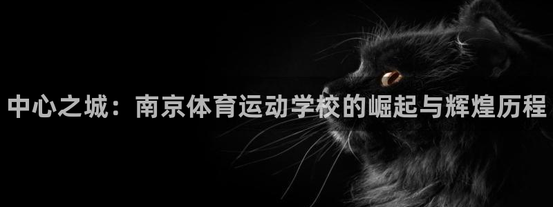 海南vsport体育官网下载：中心之城：南京体育运动