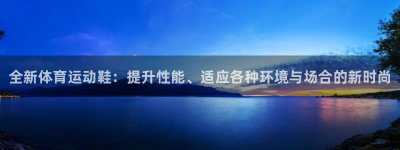 vsport体育官网下载招商电话：全新体育运动鞋：提升性能、