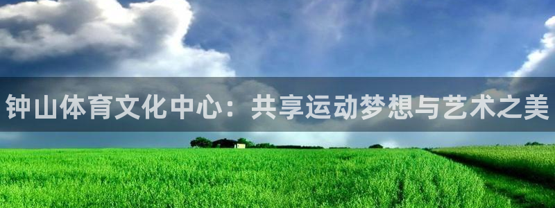 vsport体育官网下载招商电话是多少号码：钟山体育文化中心