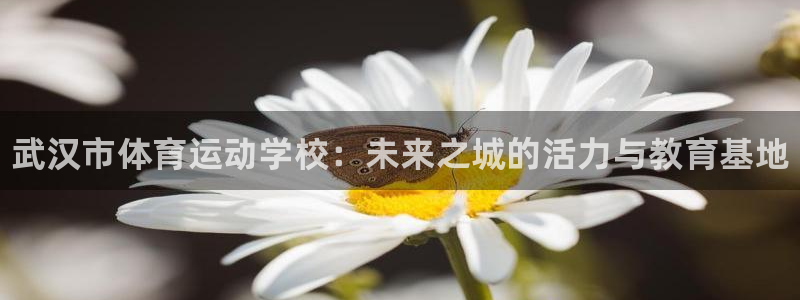 vsport体育官网下载招商电话地址查询：武汉市体育