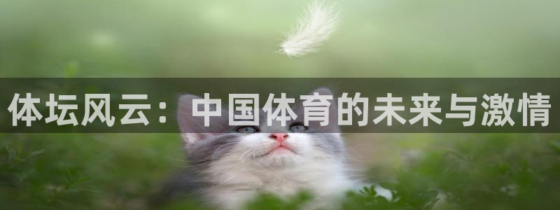 vsport体育官方平台体育：体坛风云：中国体育的未来与激情