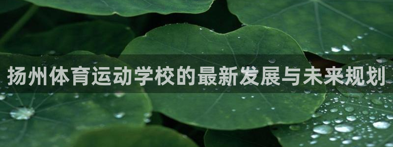 vsport体育官网下载平台注册要钱吗安全吗：扬州体