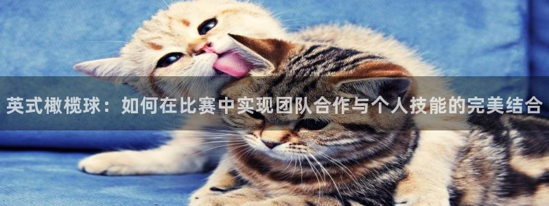 vsport体育官网下载平台注册流程图：英式橄榄球：