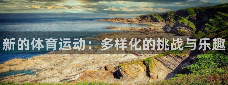 vsport体育官方正版app娱乐代理怎么样