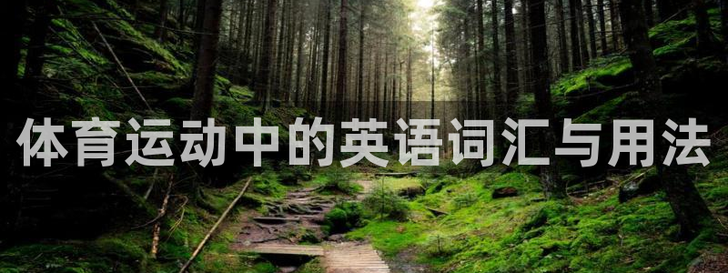 德国vsport体育官方正版app集团：体育运动中的英语词汇