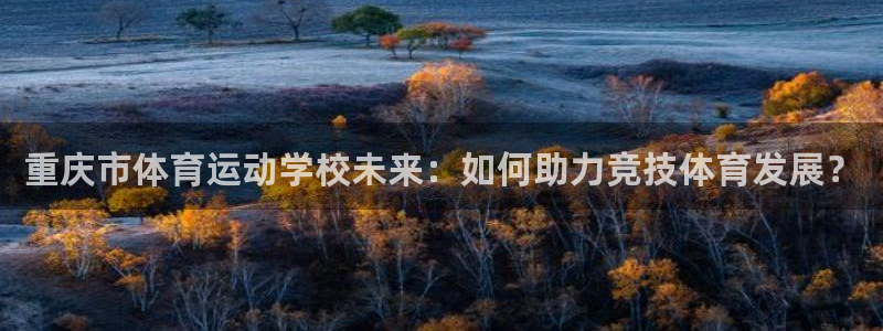 vsport体育官方正版app科技