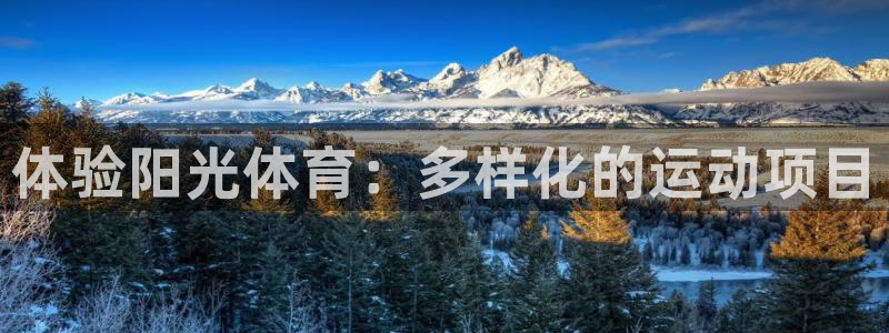 vsport体育官网下载平台注册要钱吗：体验阳光体育