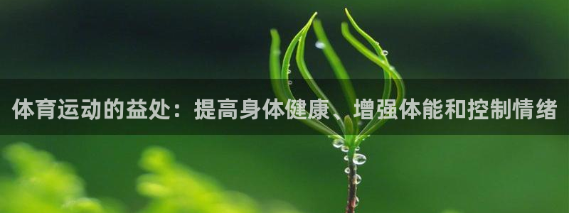 vsport体育官方正版app娱乐下载