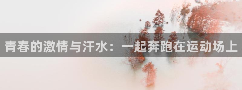 vsport体育官方正版app集团logo