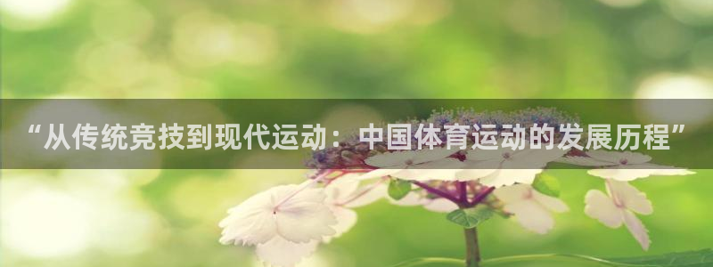 vsport体育官方正版app科技