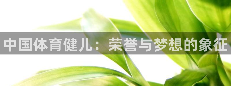 vsport体育官网下载招商电话：中国体育健儿：荣誉与梦想的