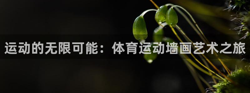 vsport体育官方正版app集团logo：运动的无限可能：