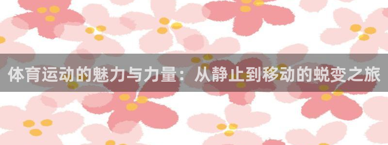 vsport体育官方正版app集团官网网址：体育运动的魅力与