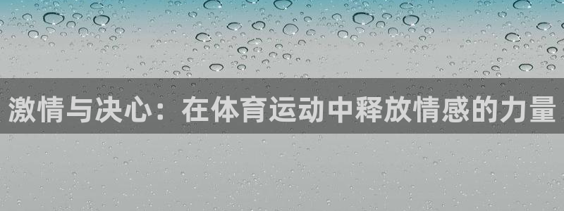 vsport体育官网下载平台是正规平台吗知乎：激情与决心：在