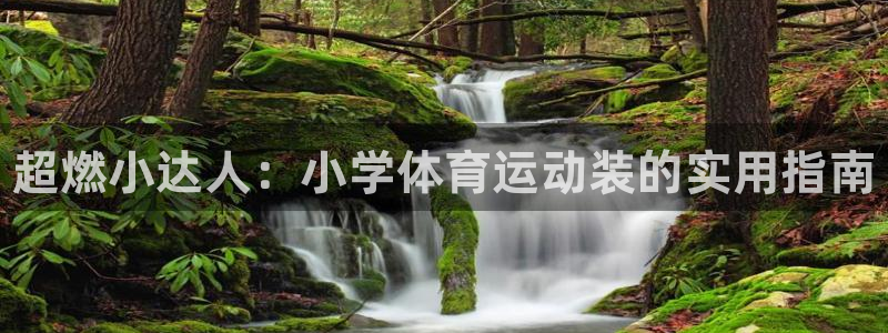 vsport体育官网下载平台是正规平台吗知乎