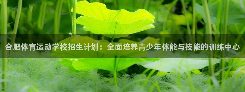vsport体育官方正版app新能源：合肥体育运动学校招生计