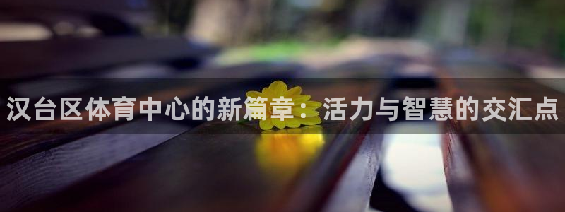 vsport体育官网下载招商电话是多少：汉台区体育中心的新篇