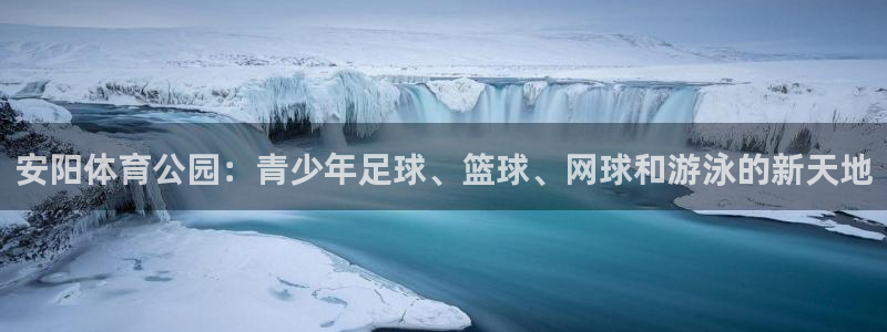 vsport体育官网下载平台注册流程图：安阳体育公园