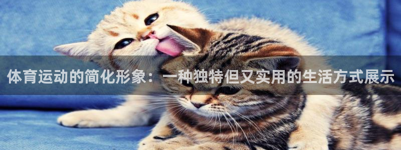 vsport体育官网下载注册：体育运动的简化形象：一