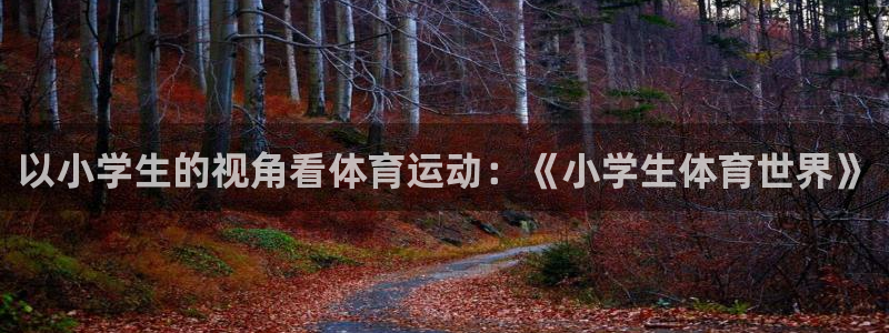 vsport体育官网下载官方客服电话