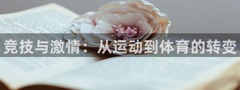 vsport体育官网下载招商电话是多少