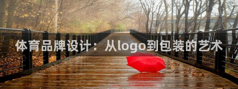 vsport体育官网下载平台假的吗是真的吗吗：体育品牌设计：