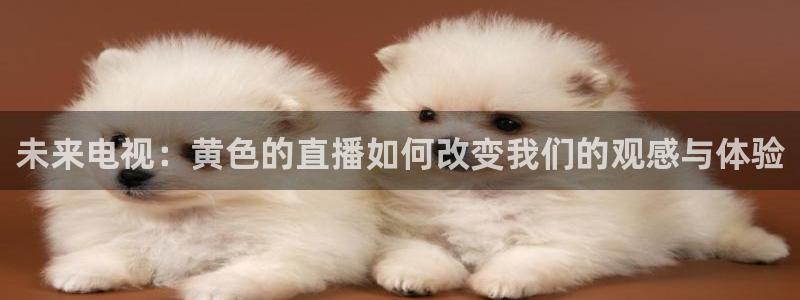 88看球nba线上直播：未来电视：黄色的直播如何改变我们的观感与体验