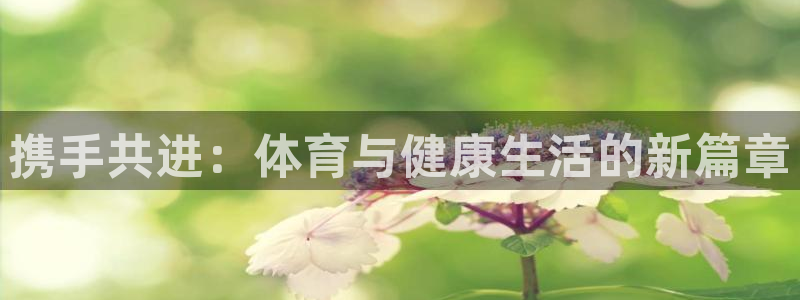Vsport体育官方网站入口：携手共