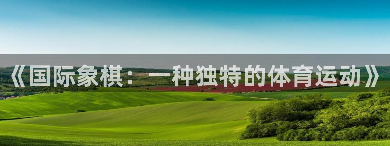 vsport体育在线官网阿根廷：《国