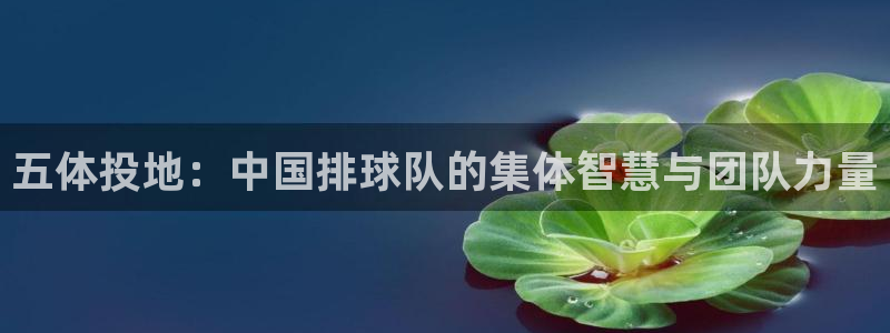 Vsport体育官网：五体投地：中国排球队的集体智慧与团队力