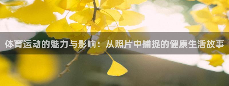 vsport体育官网：体育运动的魅力
