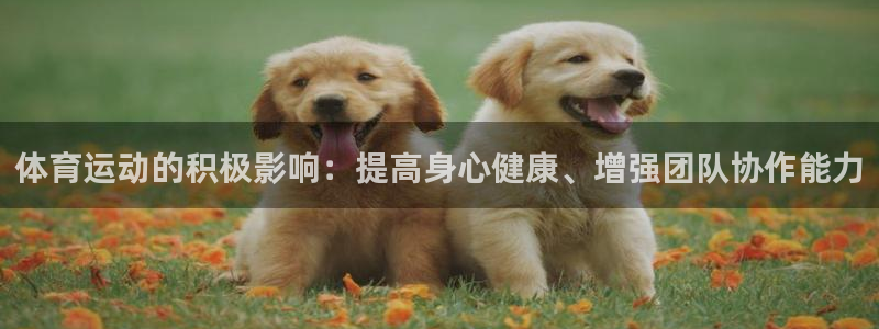 vSport体育在线登录平台：体育运动的积极影响：提高身心健