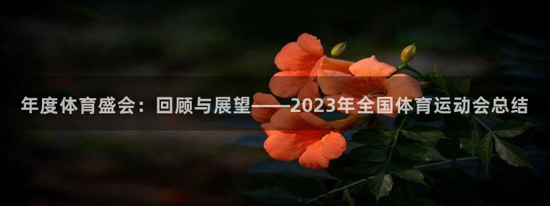 vsport体育平台app下载安装免