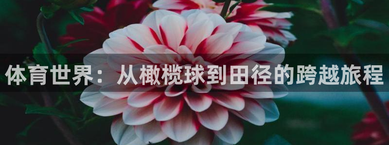  VSport体育平台-胜利因您更精彩：体育世界：从橄榄球到田