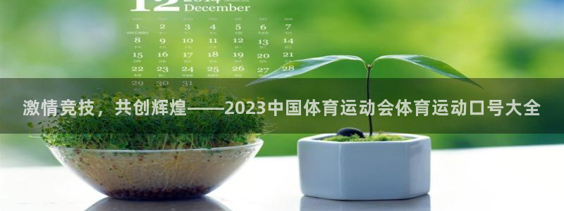  vsport体育：激情竞技，共创辉煌——2023中国体育运动