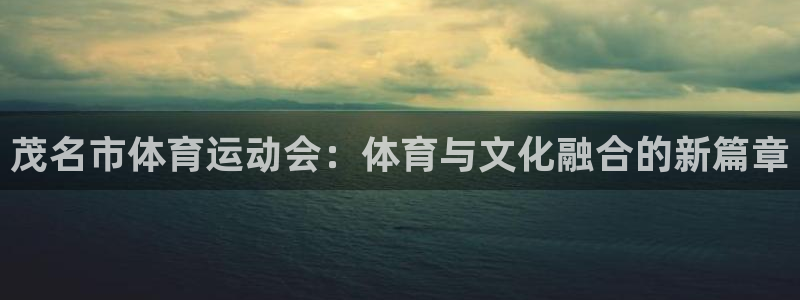 Vsport体育官方网站入口：茂名市体育运动会：体育与文化融