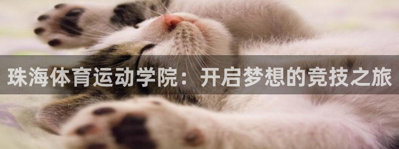 VSport体育官网入口：珠海体育运