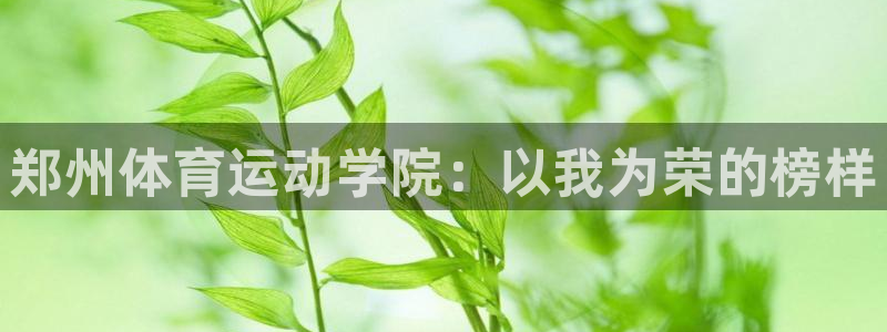 vsport体育在线官网阿根廷：郑州